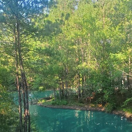 Waterfront Treehouse In A Magical Forest Waller Bagian luar foto