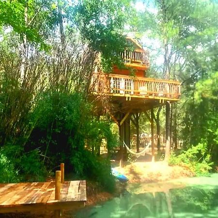 Waterfront Treehouse In A Magical Forest Waller Bagian luar foto