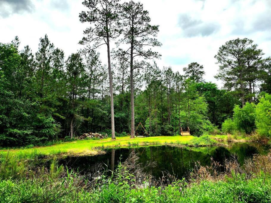 Waterfront Treehouse In A Magical Forest Waller Bagian luar foto