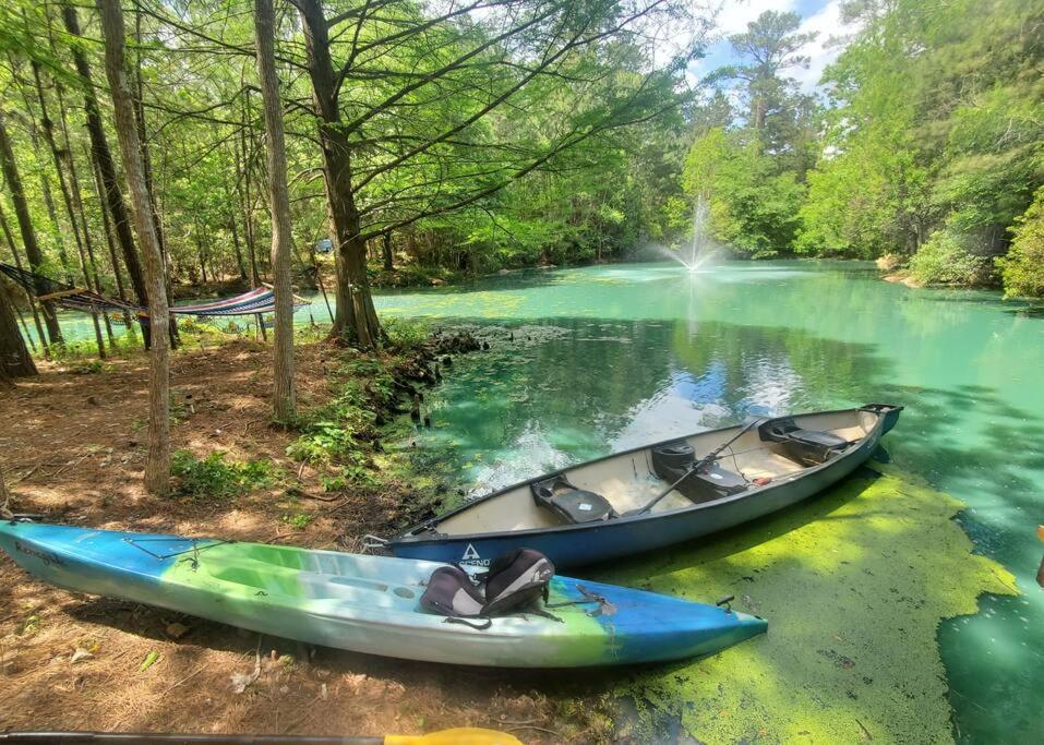 Waterfront Treehouse In A Magical Forest Waller Bagian luar foto